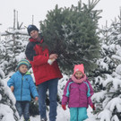Christbaum20171130033.jpg