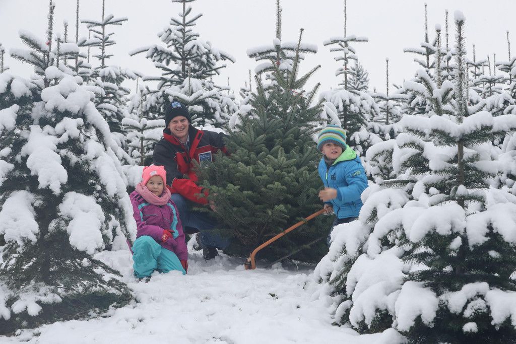 Christbaum20171130037.jpg
