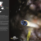 REEFCALENDAR 2018_April_ Imran Ahmad_preview.jpeg