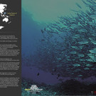 REEFCALENDAR 2018_Dezember_Lynn Funkhouser_preview.jpeg