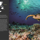 REEFCALENDAR 2018_Juli_ Erik Gossens_preview.jpeg