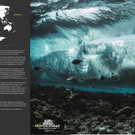 REEFCALENDAR 2018_September_ Marc Hillesheim_preview.jpeg