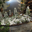 PC010845.JPG