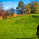 Bilder von der Glüxschmiede