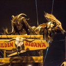 20171202_fmt_gnigler_krampuslauf_mw-7.jpg