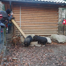 PC028147.JPG