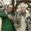 Tiergarten Schönbrunn: Besuch von Schimpansenforscherin Jane Goodall