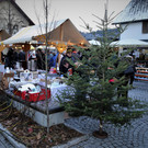 IMG_9974.JPG