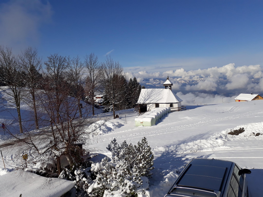 20171201_113216.jpg