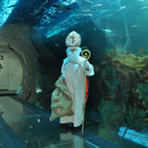 Nikolo zu Besuch im Haus des Meeres: Bilder