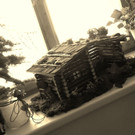20171201_122107.jpg