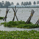 kerala 1.JPG