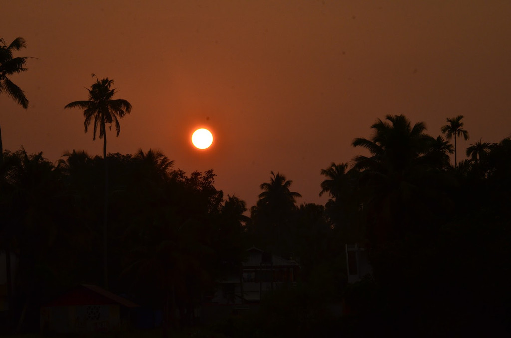 kerala 20.JPG