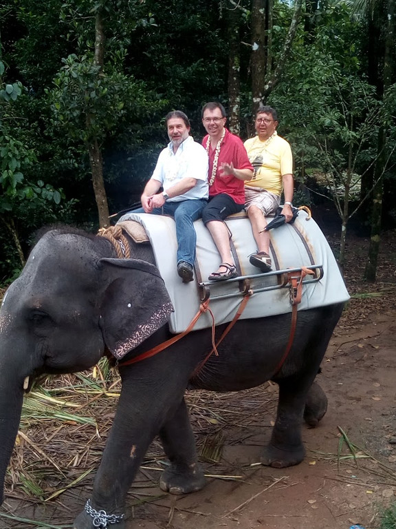 kerala elefant.jpg