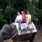 kerala elefant.jpg