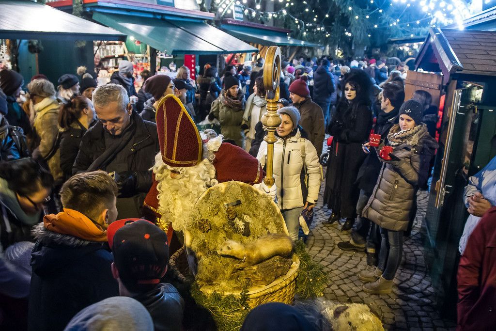 20171206_fmt_kramuslauf_mirabell_mw-9.jpg
