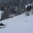 IMG_6252.JPG