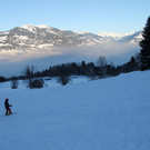 IMG_7237.JPG