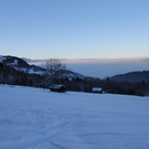 IMG_7238.JPG