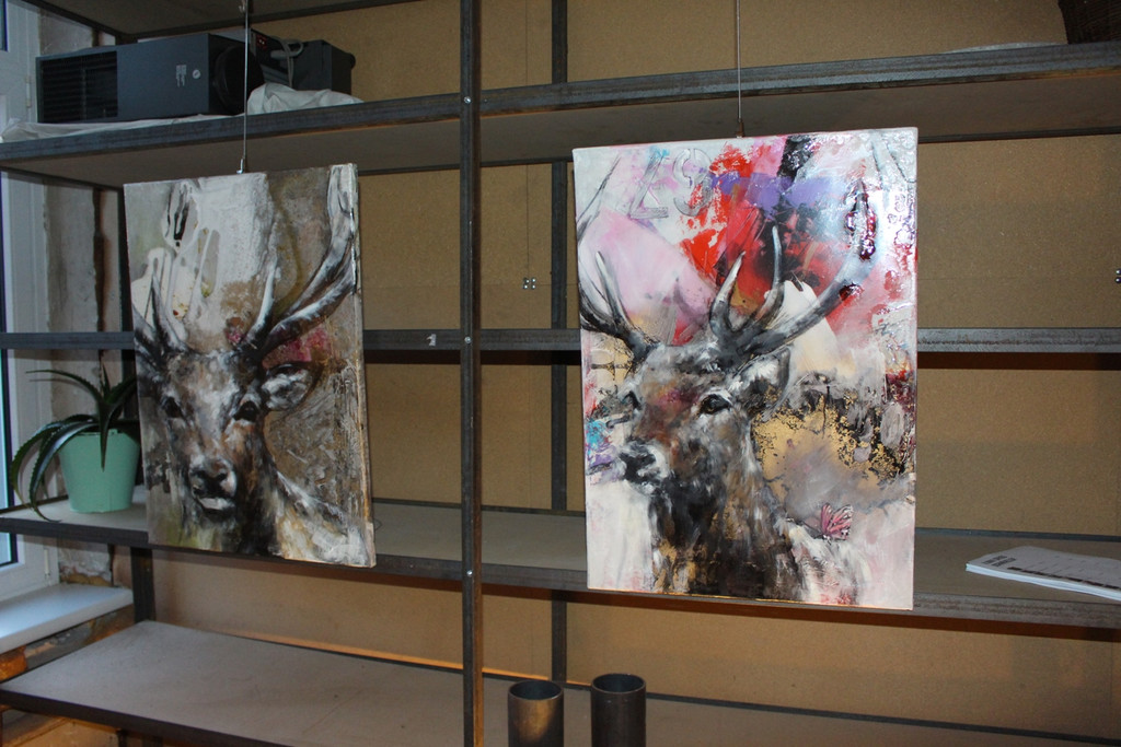 Galerie Papillon Ausstellung ILONA GRISS 02-12-2017 _9_.JPG