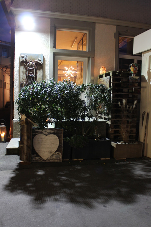 Galerie Papillon Ausstellung ILONA GRISS 02-12-2017 _19_.JPG
