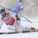France_Alpine_Skiing_World_Cup_55471.jpg