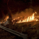 California_Wildfires_29053.jpg