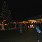 DSC02274a.jpg