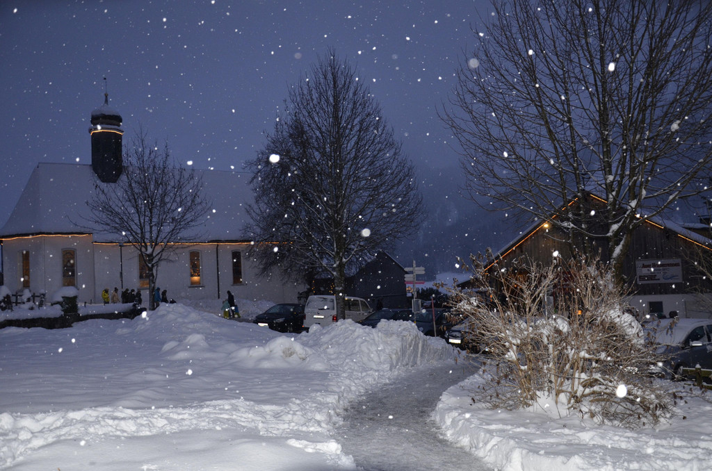 _DSC0792_1_.jpg
