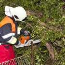Sturm: Feuerwehr im Einsatz