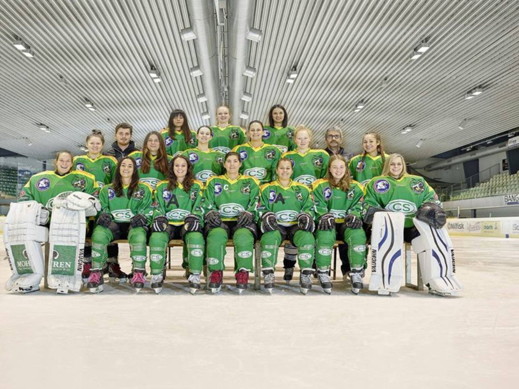bwildcats2.jpg