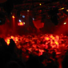788554.jpg