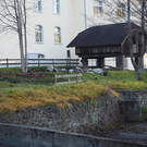 PB227009.JPG