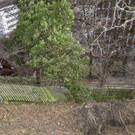 UW Feldk_Inst_St_Josef-Baum38.jpg