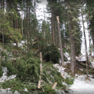 2017-12-11 17_15_35-Albumarchiv.jpg
