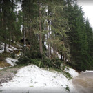 2017-12-11 17_16_07-Albumarchiv.jpg