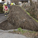 UW Rankw_Madlenerweg-Baum37.jpg