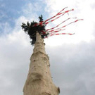 Maibaumfeier der 