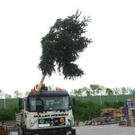 789748.jpg