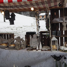 PC109681.JPG