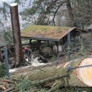 Sturmschäden im Wildpark