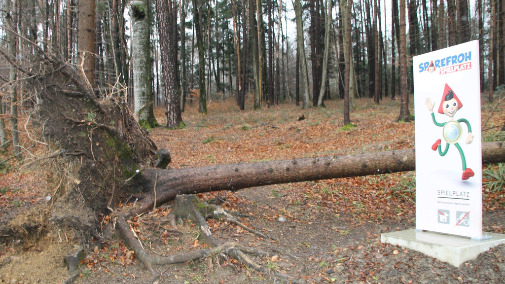 _wildpark_bild2.jpg