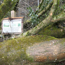 IMG_7978.JPG