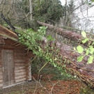 IMG_7996.JPG