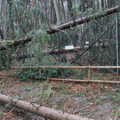 IMG_8001.JPG