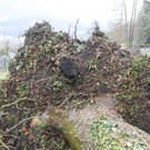 IMG_8014.JPG