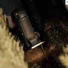 bosch11.JPG
