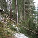 PC112749.jpg