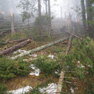 PC122810.jpg