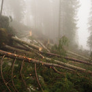PC122835.jpg